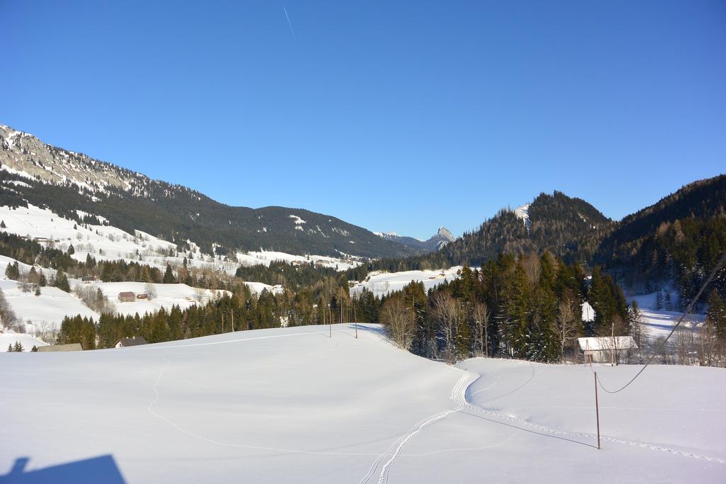 Ferienwohnung Poreiterhof Tauplitz Luaran gambar